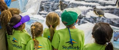 SeaWorld Orlando Summer Day Camps