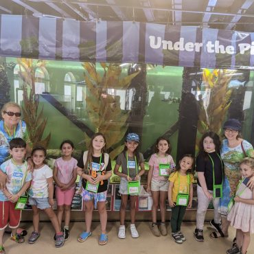 RAZ Land ART Summer Camp